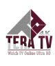اشتراك تيرا TERA 4K لمدة سنة + 3 اشهر مجانا اشتراك تيرا TERA 4K لمدة سنة + 3 اشهر مجانا